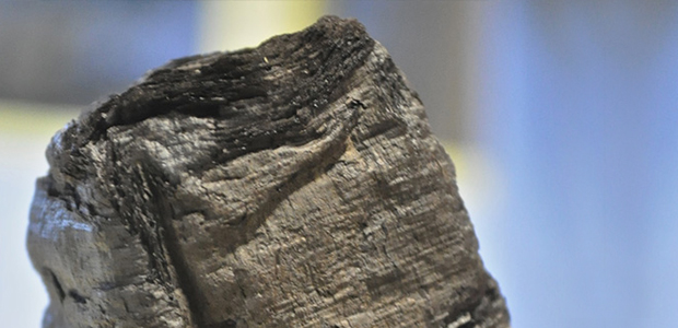 Immagine relativa al contenuto Scuola di papirologia ercolanese in memoria di Graziano Arrighetti